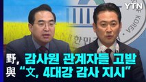 野, 감사원 관계자들 고발 '강수'...與 