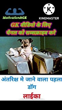 First dog in space | Laika dog in space #shorts #space