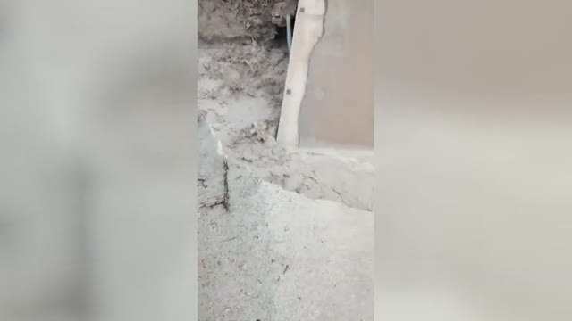 El puente destrozado que está arruinando a agricultores y ganaderos en Jaén