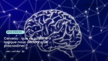 Cerveau : que se passe-t-il lorsque nous décidons de procrastiner ?