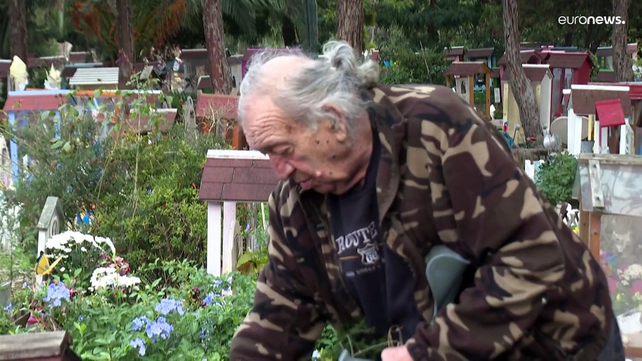 Che cosa unisce Mussolini, una gallina e un cimitero (degli animali) che ha 100 anni?