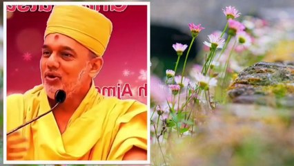 પરિવારના એક સભ્યનું વ્યસન પણ કઈ રીતે બધાને નડે_ જાણો, ઈન્ડિયન ક્રિકેટ ટીમને બીજો સચિન કેમ ન મળ્યો_