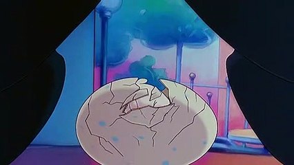 La gabbianella e il gatto