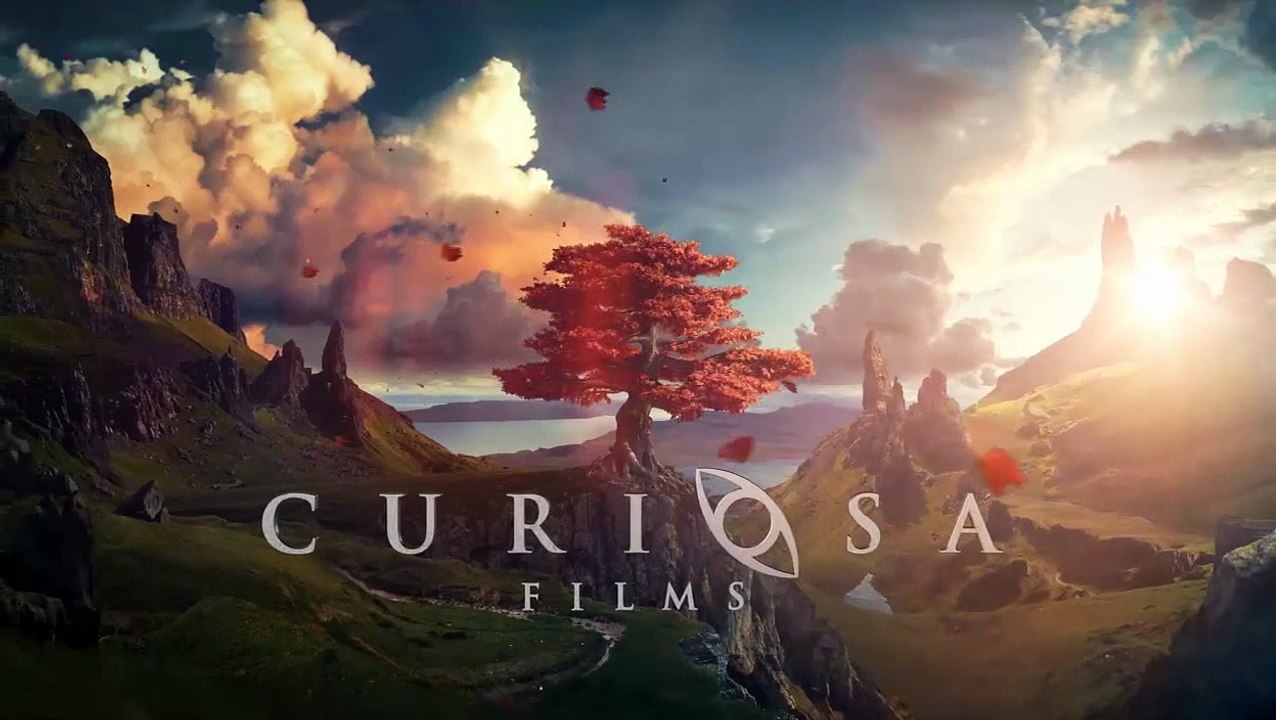 Sogno di una notte di mezza età