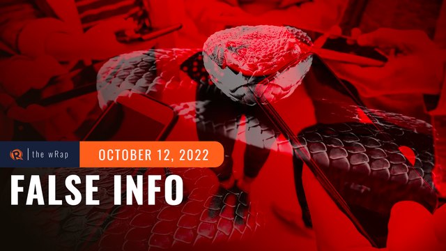 Majority of Filipinos say influencers, bloggers, vloggers spread false political info – Pulse Asia