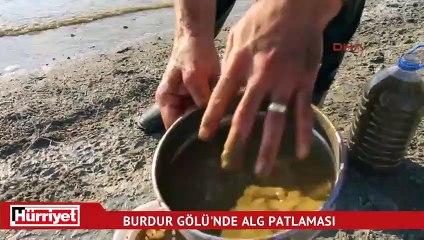 Korkutan görüntü sonrası uyarı! Toplum ölümler olacak!