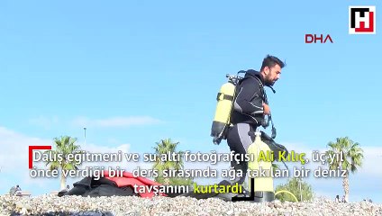 Mavi derinliklerin koruyucu meleği