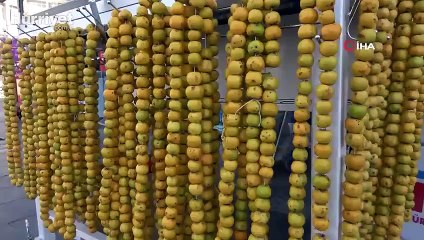 'Alıcı' çekirdekleriyle tüketen 5 kişi hastanelik oldu