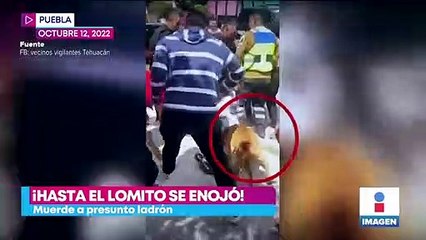 Perrito se une a intento de linchamiento en Puebla