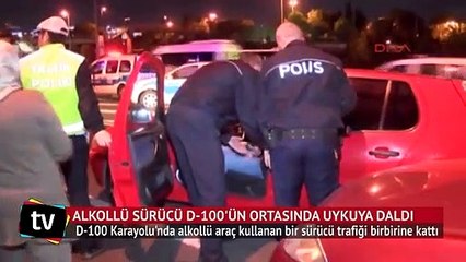 Alkollü sürücü D-100'ün ortasında uykuya daldı
