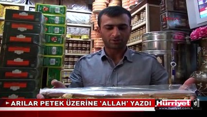 ARILAR PETEK ÜZERİNE 'ALLAH' YAZDI