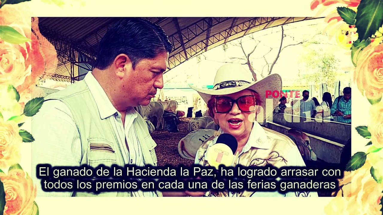 LA HACIENDA LA PAZ SE LUCIÓ CON EL MEJOR GANADO EN LA FERIA GANADERA 2022