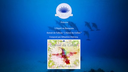 Sébastien Duboscq " L'Esprit en Harmonie " - Extrait du Nouvel Album 2022 L'Envol du Colibri.