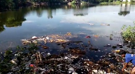 বাঁকুড়ায় বিসর্জনের পর ব্যবহারের অযোগ্য হয়েছে পুকুর, ভ্রুক্ষেপ নেই পুরসভার| Oneindia Bengali