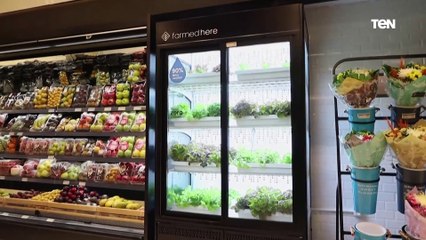 ثلاجة الزراعة المائية.. شركة مصرية توفر تقنيات الزراعة الذكية | بالأخضر