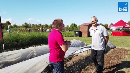 Philippe Sigrist, Chambre d'Agriculture d'Alsace