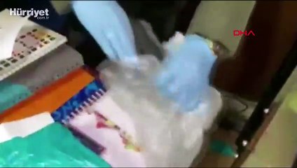 İstanbul ve Muğla'da 'Karslı güvenler' çetesine operasyon kamerada