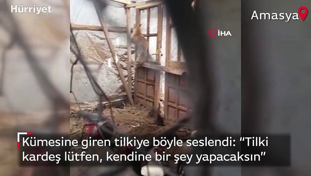 Kümesine giren tilkiyle konuşan çiftçi izleyenleri gülümsetti