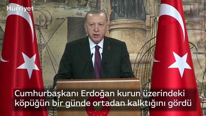 Cumhurbaşkanı Erdoğan kurun üzerindeki köpüğün bir günde ortadan kalktığını gördü