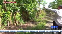 Casas desoladas y pérdida de cultivos en parte baja del río Chiquito, El Progreso