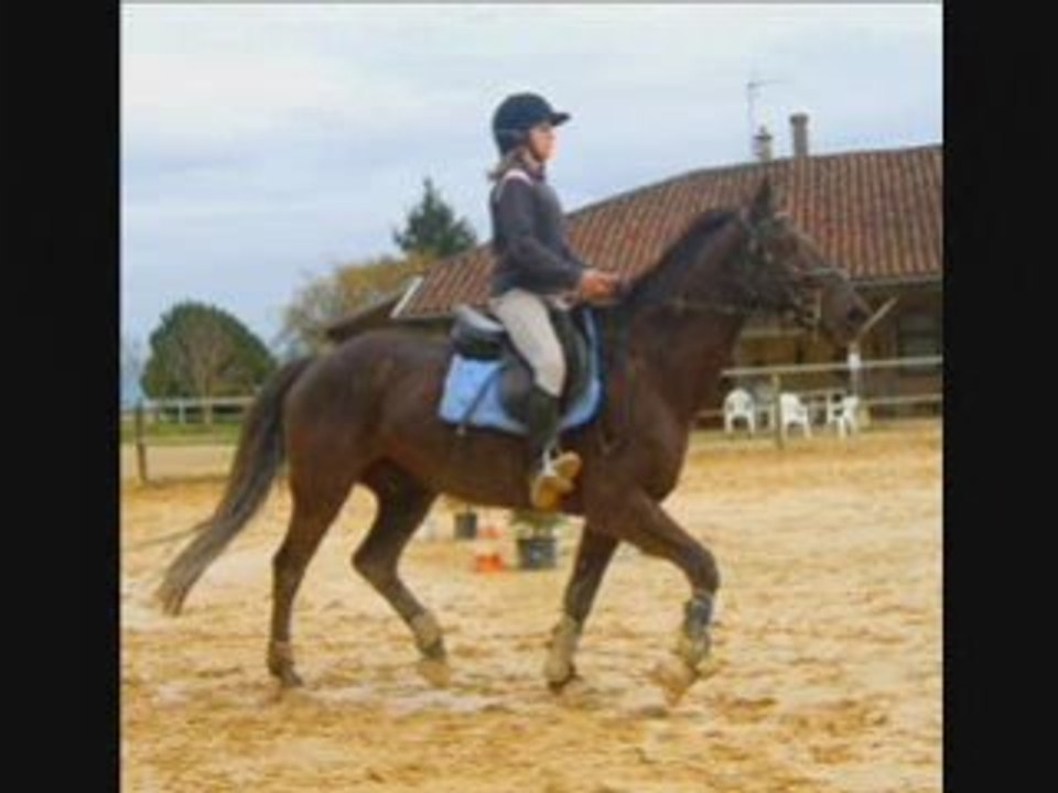 LOULOU