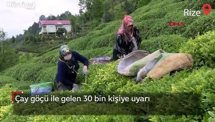 Çay göçü ile gelen 30 bin kişiye uyarı