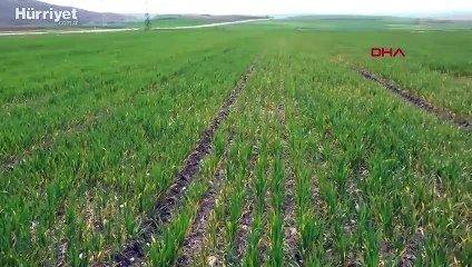 Bill Gates'in Trakya'dan arazi aldığı iddiası fırsatçıları harekete geçirdi