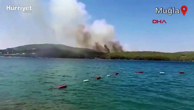 Milas'ta ormanlık alanda yangın çıktı