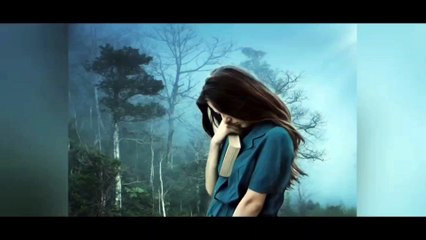 true lines shayari status video in hindi
