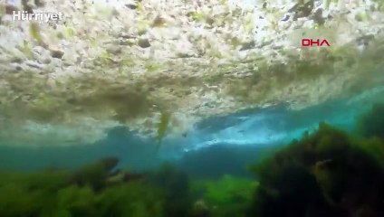 Kadıköy'den Marmara'ya daldı, deniz dibini saran salyayı görüntüledi