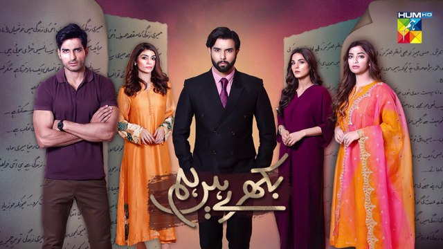 Bikhray Hain Hum Episode 24 - Noor Hassan - Nawal Saeed - Zoya Nasir - 12th October 2022 - HUM TV-1