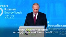 Nord Stream leaks are 'international terrorism': Putin