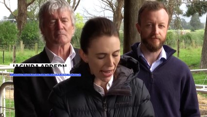 New Zealand outlines plans to tax livestock burps, farts