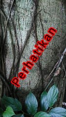 Ada yang lihat diatas????