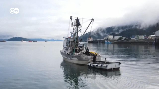 Как российская рыба попадает в США в обход санкций и какую роль на самом деле играет Китай (12.10.2022)