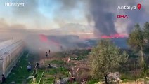 Antalya'da sazlık alanda yangın çıktı