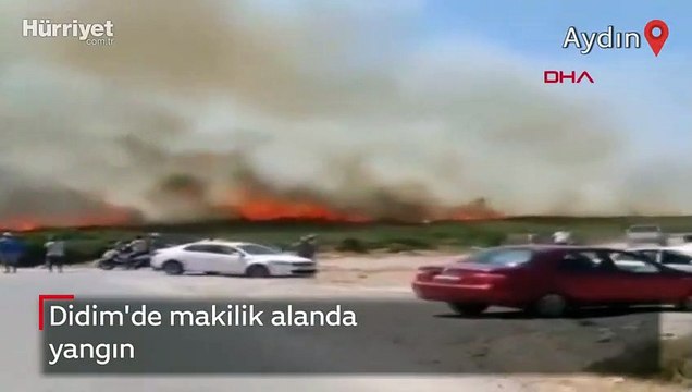 Didim'de makilik alanda yangın