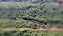 Tarım ve Orman Bakanı Bekir Pakdemirli, Milas'taki yangının kontrol altına alındığını açıkladı