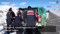 Yozgat'ta jandarma, sokak hayvanları için yiyecek bıraktı