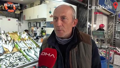 Lüfer bollaştı, fiyatlar düştü