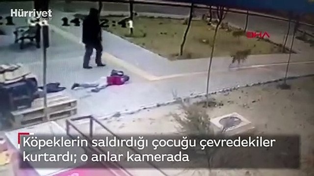 Köpeklerin saldırdığı çocuğu çevredekiler kurtardı o anlar kamerada