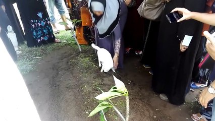 We Don't Deserve Animals