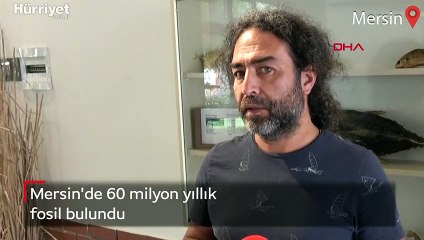 Mersin'de 60 milyon yıllık fosil bulundu