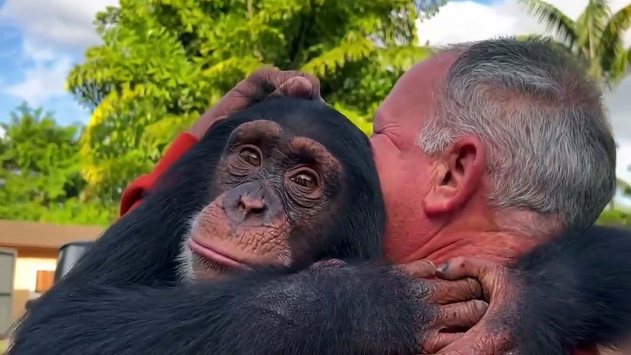 Animals Reunited With Owners AFTER YEARS!