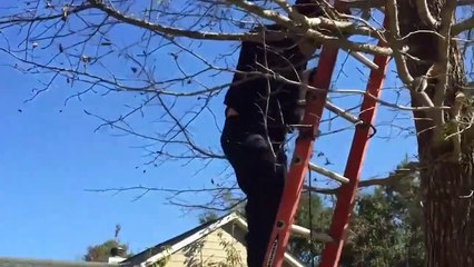 Hero Police and Firefighters Saving Animals That Needed Help