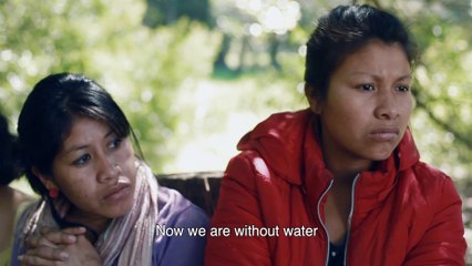 La rebelión de las flores - Tráiler