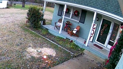 35 Interesting Animal Moments Caught On Camera