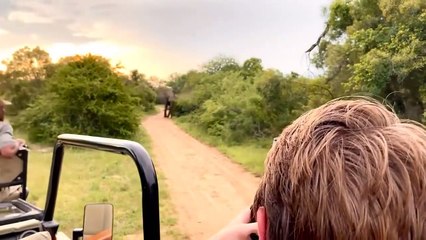 30 OUTRAGEOUS Elephant Moments Caught On Camera!