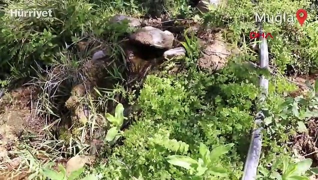 Kelebekler Vadisi'nin suyunu 33 yıldır otel ve pansiyonlar içme suyu olarak kullanmış