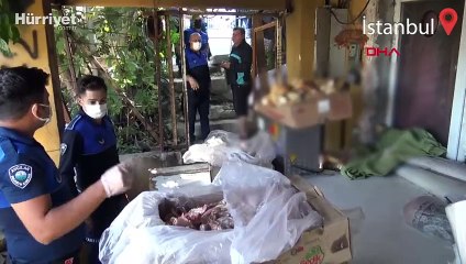 Avcılar'da halı yıkama yerinde sağlıksız koşulda bekletilen etlere el konuldu
